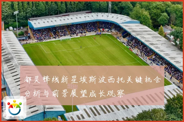 都灵锋线新星埃斯波西托关键机会分析与前景展望成长观察