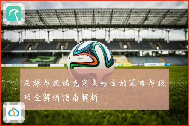 足球与皮诺克完美结合的策略与技巧全解析指南解析