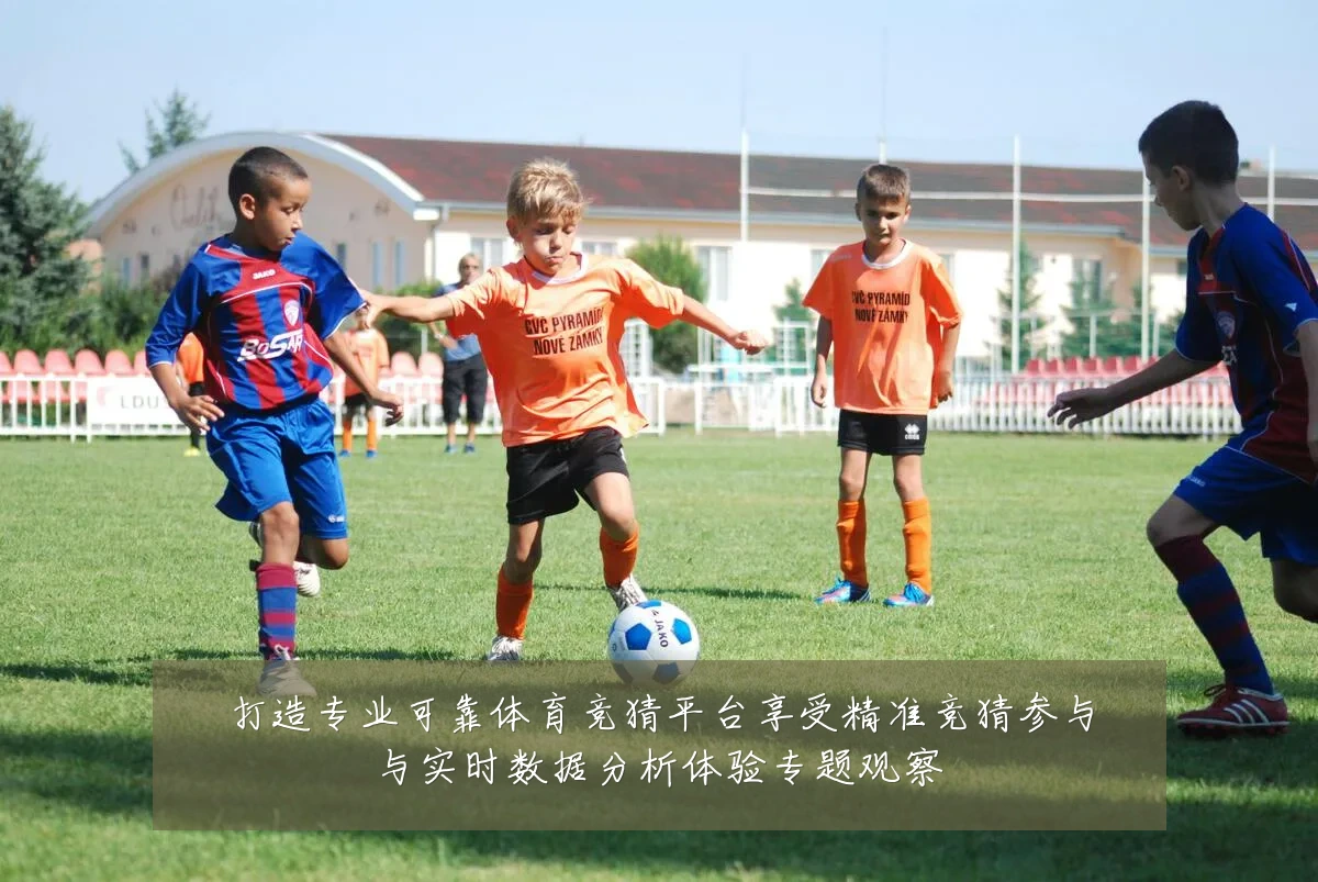 打造专业可靠体育竞猜平台享受精准竞猜参与与实时数据分析体验专题观察